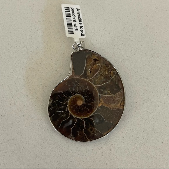 One of A Kind Ammolite Fossil Pendant - Picture 8 of 10